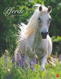 Cover: Pferde Classics Posterkalender 2026 - Heye