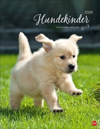 Abbildung von: Hundekinder Posterkalender 2026 - Heye