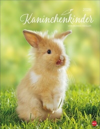 Abbildung von: Kaninchenkinder Posterkalender 2026 - Heye