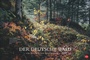 Bild: Der deutsche Wald - Ein literarischer Spaziergang Kalender 2026 - Heye