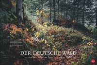 Bild vergrößern Bild: Der deutsche Wald - Ein literarischer Spaziergang Kalender 2026 - Heye