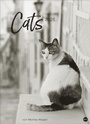 Bild: Cats Edition Kalender 2026 - Heye