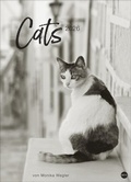 Cover: Cats Edition Kalender 2026 - Heye