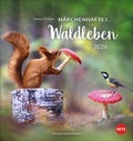 Cover: Vadim Trunov: M&auml;rchenhaftes Waldleben Postkartenkalender 2026 - Heye