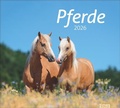Cover: times&more Pferde Bildkalender 2026 - Heye