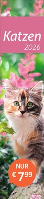 Abbildung von: times&more Katzen Langplaner 2026 - Heye