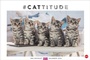 Bild: Whiskas Katzenkalender 2026 - Heye
