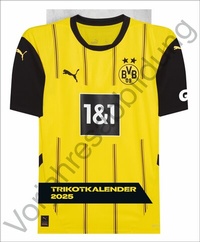 Abbildung von: BVB Trikotkalender 2026 - Heye
