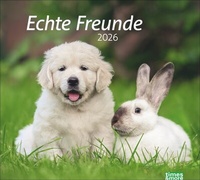 Abbildung von: times&more Echte Freunde Bildkalender 2026 - Heye
