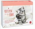 Cover: Katzen my love Tagesabrei&szlig;kalender 2026 - Heye