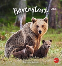 Abbildung von: Bärenstark Postkartenkalender 2026 - Heye
