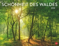 Abbildung von: Schönheit des Waldes Posterkalender 2026 - Heye