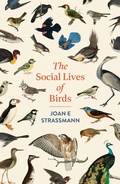 Abbildung von: The Social Lives of Birds - Headline Press