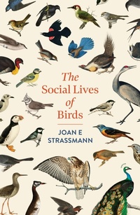 Abbildung von: The Social Lives of Birds - Headline Press