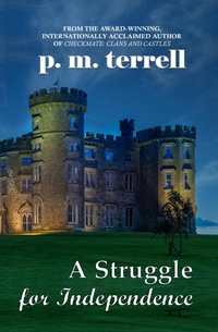Enlarge image Cover: A Struggle for Independence - DrakeValleyPress