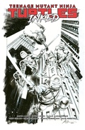 Cover: Teenage Mutant Ninja Turtles, Vol. 1: Return to New York: Inked Deluxe Edition - Idea & Design Works