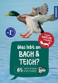 Cover: Was lebt an Bach und Teich? Kindernaturf&uuml;hrer - Kosmos