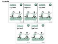 Cover: Essential Spelling and Word Knowledge: Year 5: Year 5 Log Book Pack of 5 - Oxford University Press