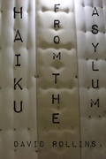 Cover: Haiku from the Asylum - Green Cat Books