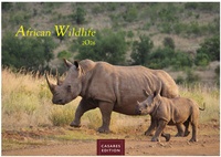 Abbildung von: Wilde Tiere Afrikas Kalender 2026 - Wandkalender | Fotokalender Afrika 35x50cm | Naturfotografie | Tierkalender Afrika | Geschenk für Naturliebhaber - CASARES EDITION