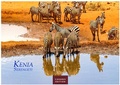 Bild: Kenia & Serengheti Kalender 2026 - Wandkalender | Fotokalender Afrika 35x50cm - Wunderschöne Tierkalender- und Naturschutzfotos. - CASARES EDITION