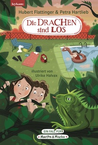 Abbildung von: Die Drachen sind los - Leykam