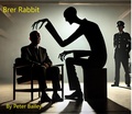 Cover: Brer Rabbit - Peter Bailey