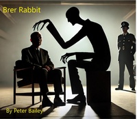Enlarge image Cover: Brer Rabbit - Peter Bailey
