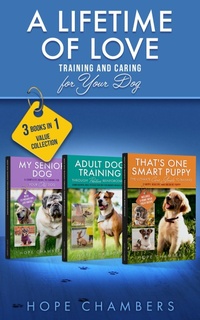 Abbildung von: A Lifetime of Love - Publishing Den LLC, The