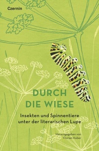 Abbildung von: Durch die Wiese - Czernin Verlag