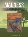 Cover: Madness - Self Publishing