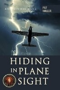 Enlarge image Cover: Hiding in Plane Sight - Bookbaby