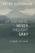 Cover: If You Have Never Thought Gray - Wiley