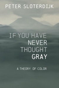Abbildung von: If You Have Never Thought Gray - Wiley-ISTE