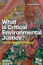 Cover: What is Critical Environmental Justice? - Wiley-Scrivener