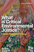 Cover: What is Critical Environmental Justice? - Wiley-Scrivener