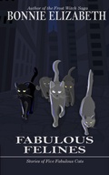 Cover: Fabulous Felines - My Big Fat Orange Cat Publishing