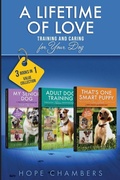 Cover: A Lifetime of Love - Publishing Den LLC