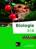Cover: Biologie Baden-W&uuml;rttemberg G9 5/6 Ausgabe ab 2026 - Buchner, C.C.