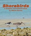 Cover: Shorebirds - Arbordale Publishing