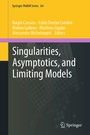 Cover: Singularities, Asymptotics, and Limiting Models - Springer Nature Switzerland AG