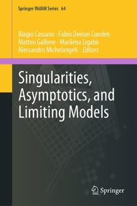 Enlarge image Cover: Singularities, Asymptotics, and Limiting Models - Springer Nature Switzerland AG