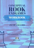 Cover: Conceptual Rook Endgames Workbook - Quality Chess UK LLP