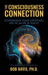 Enlarge image Cover: The Consciousness Connection - Palmetto Publishing