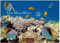 Abbildung von: Unterwasserwelten Kalender 2026 - Wandkalender | Fotokalender Naturkalender 35x50cm Großformat - Atemberaubende Meereslandschaften & Korallenriffe. - CASARES EDITION