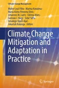 Cover: Climate Change Mitigation and Adaptation in Practice - Springer