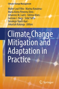 Enlarge image Cover: Climate Change Mitigation and Adaptation in Practice - Springer