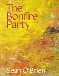 Cover: The Bonfire Party - Picador