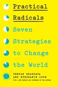Cover: Practical Radicals - The New Press