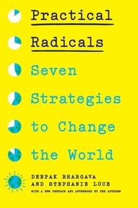 Enlarge image Cover: Practical Radicals - The New Press
